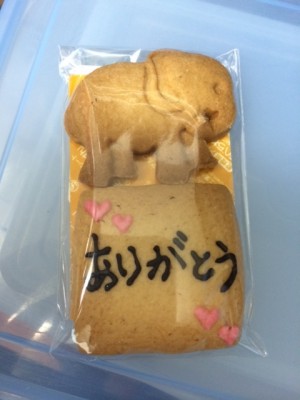 写真(2)