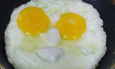 eggs-683597_1280
