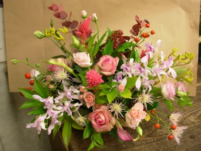 DSCN0226