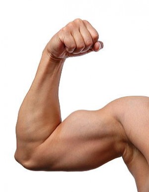 iStock_000004707356XSmall1