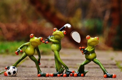 frogs-1212209_1280