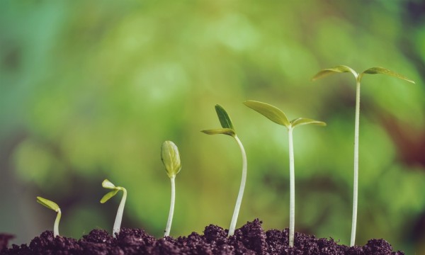 shutterstock_339434960